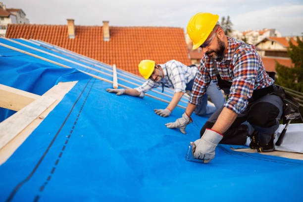 Best Roof Ventilation Installation  in Vadnais Heights, MN