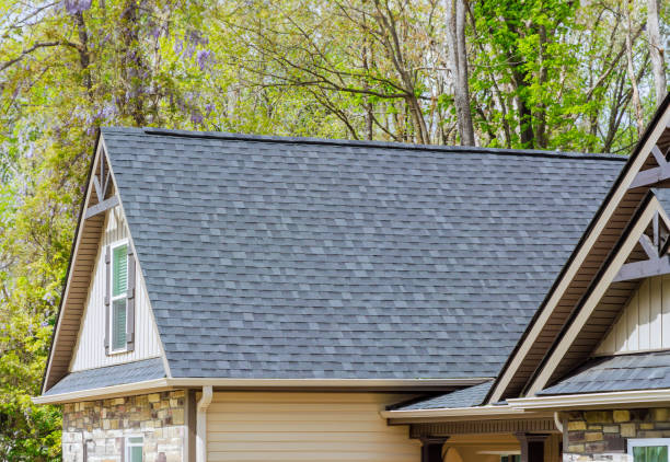 Professional Roofing Service in Vadnais Heights, MN